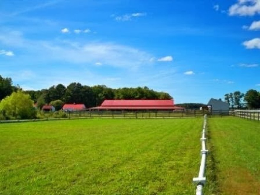Holly Ridge Farm Equestrian Center