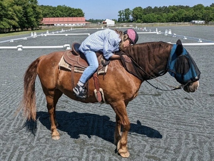 Holly Ridge Farm Equestrian Center