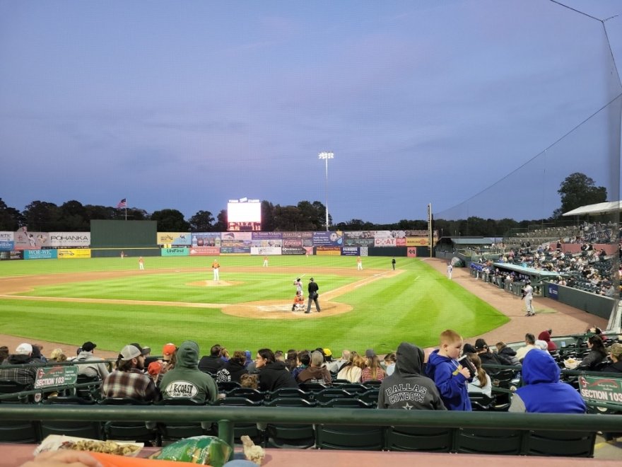 Delmarva Shorebirds