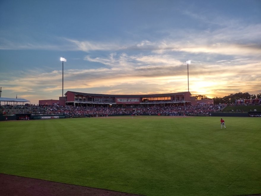 Delmarva Shorebirds