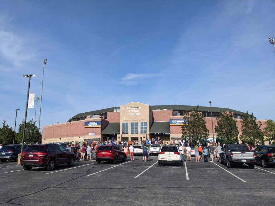 Delmarva Shorebirds