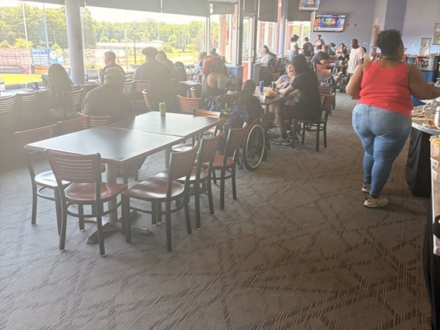 Delmarva Shorebirds