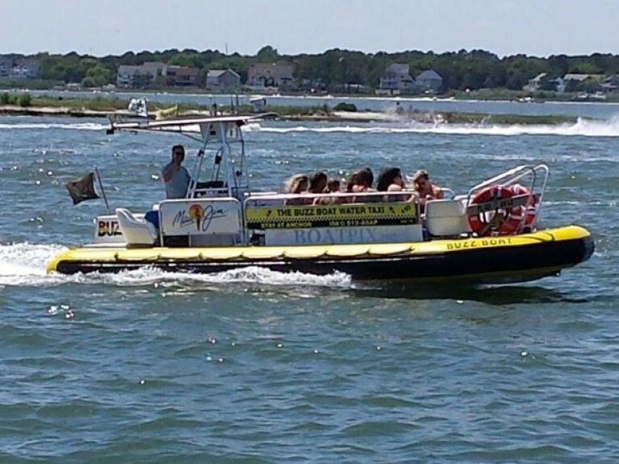 The Buzz Boat Water Taxi