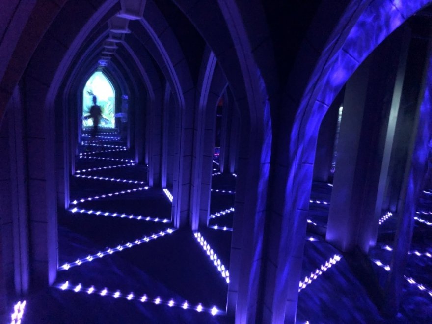 Ripley's Marvelous Mirror Maze