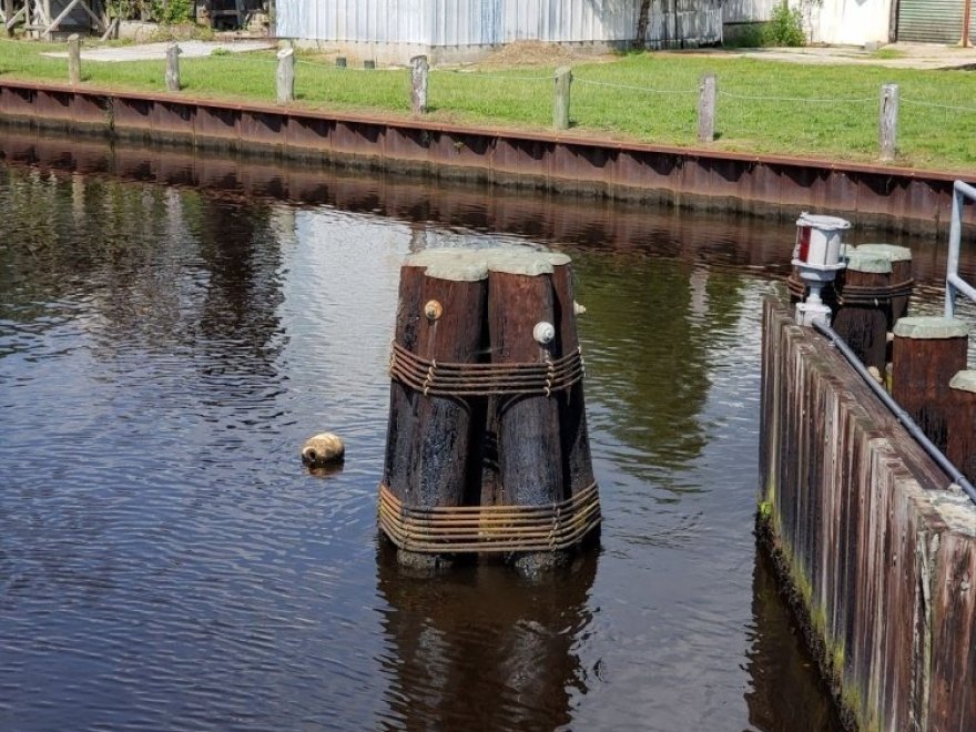 Pocomoke River Canoe Company