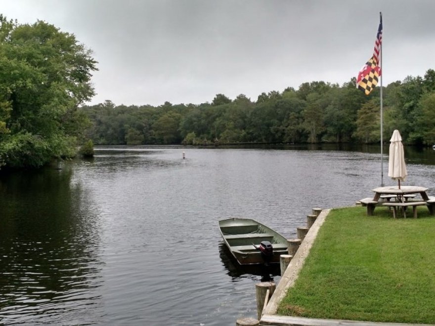 Pocomoke River Canoe Company