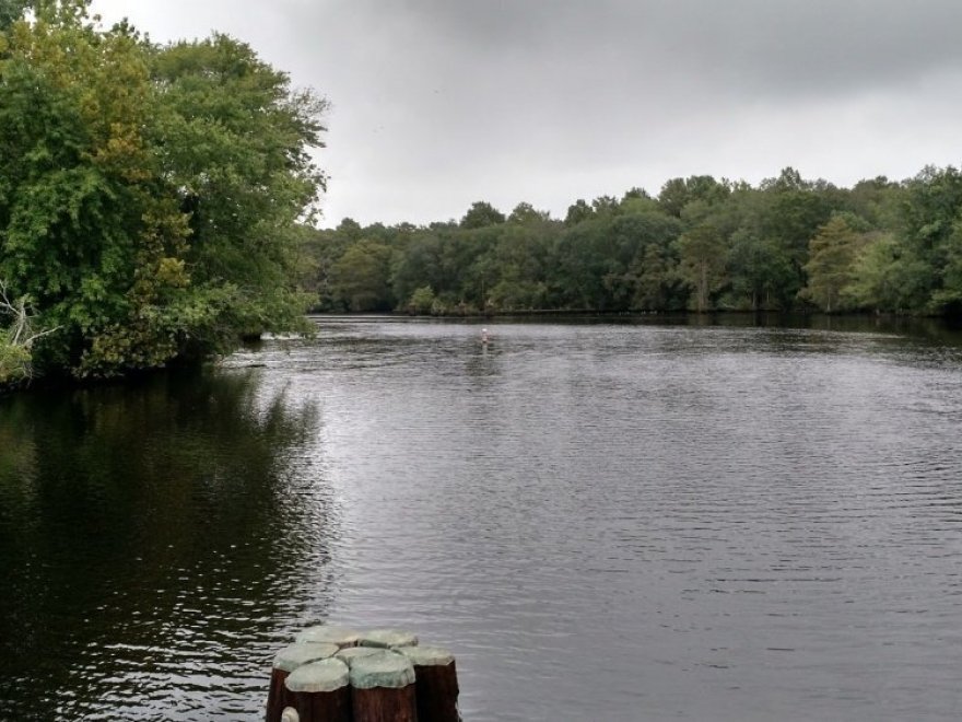 Pocomoke River Canoe Company