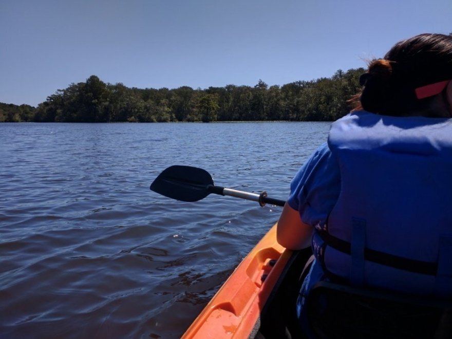 Pocomoke River Canoe Company