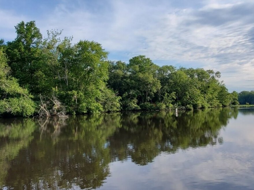 Pocomoke River Canoe Company