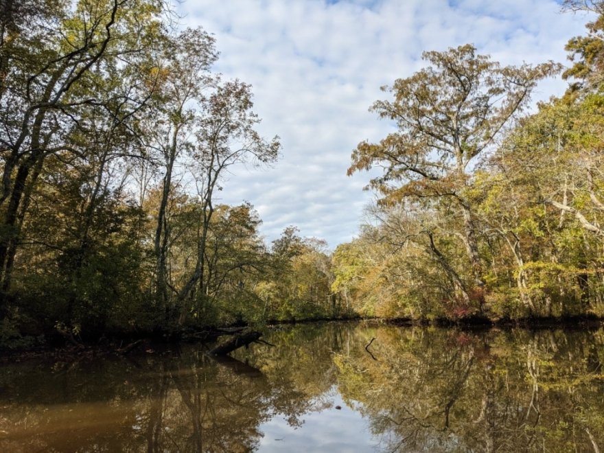 Pocomoke River Canoe Company