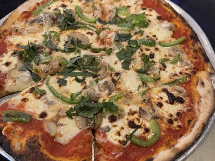 Shotti's Point Ocean City