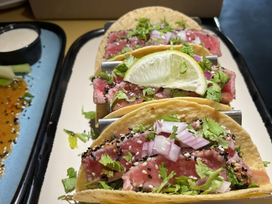 Shotti's Point Ocean City