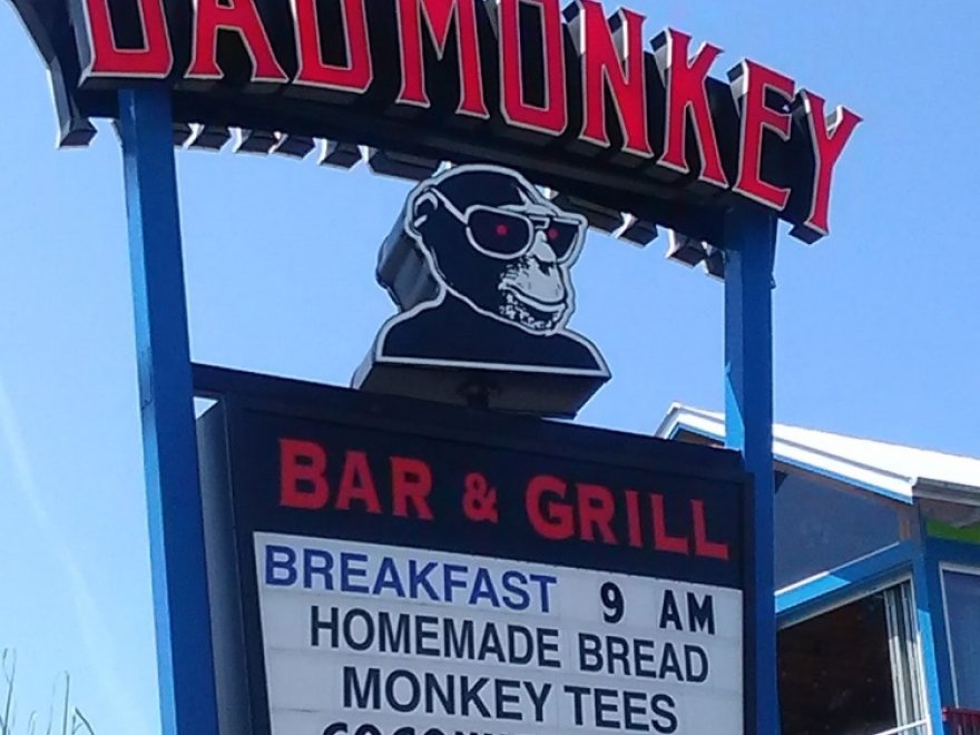 Bad Monkey West OC