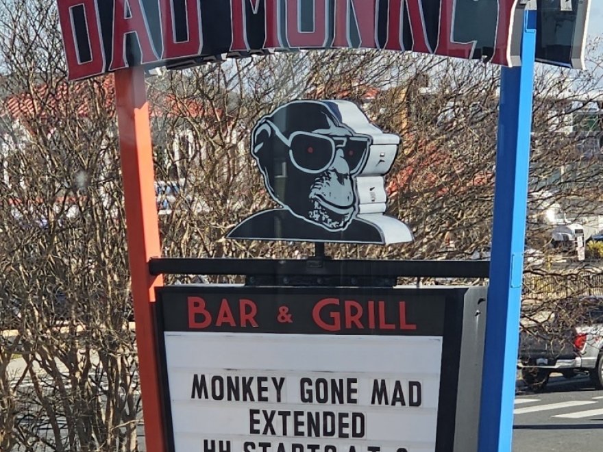Bad Monkey West OC