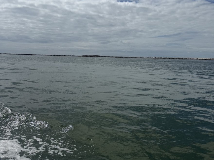 Sea Rocket Water Adventures- Ocean City (Downtown)