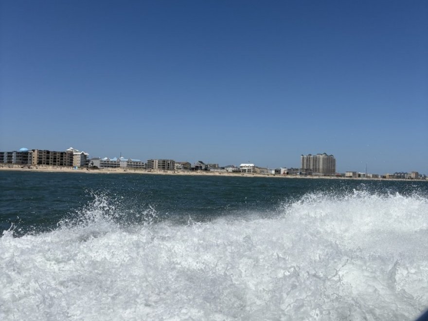 Sea Rocket Water Adventures- Ocean City (Downtown)