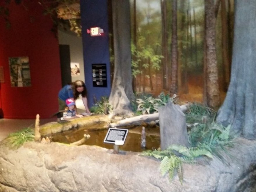 Delmarva Discovery Museum