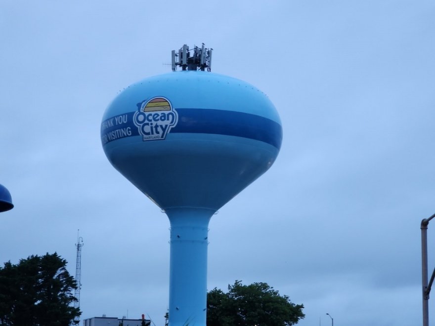 Dead Freddies Island Grill