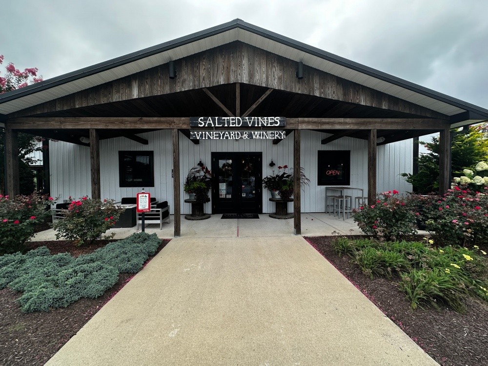 Salted vines winery cheap