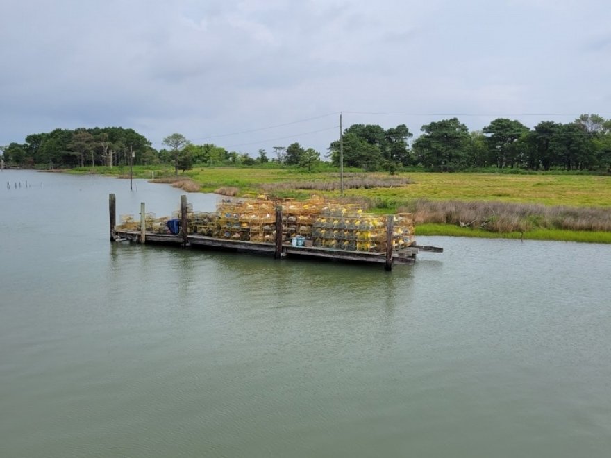 Smith Island Cruises