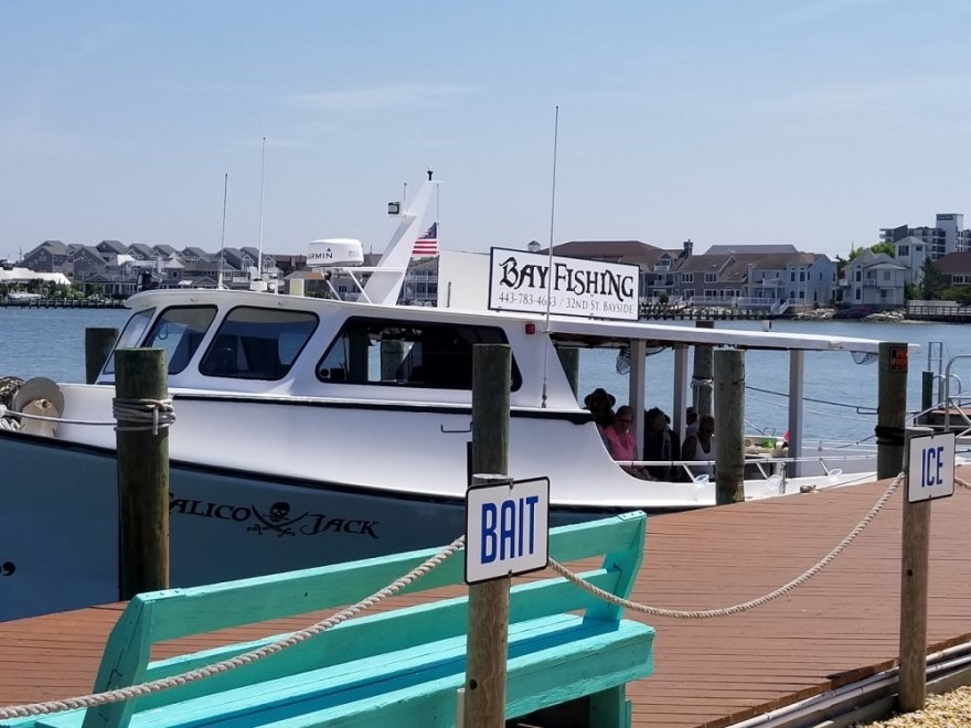 Back Bay Adventures: Jet Ski Rentals, Fishing Charters & Party Boat